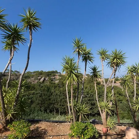 דירה Hill *