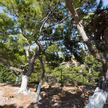 Hill דירה פרמאנה