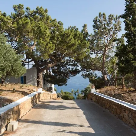 Hill פרמאנה